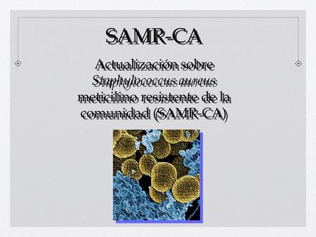 SAMR-CA Actualización sobre Staphylococcus aureus meticilino resistente de la comunidad (SAMR-CA)