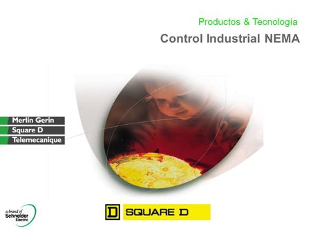 Control Industrial NEMA