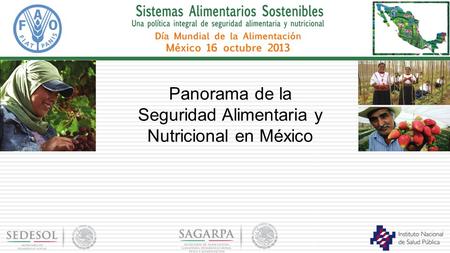 Panorama de la Seguridad Alimentaria y Nutricional en México.