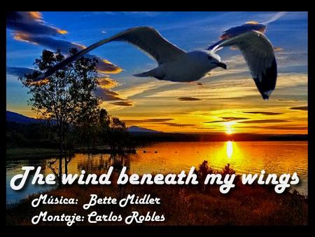 The wind beneath my wings
