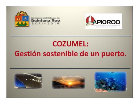 COZUMEL: Gestión sostenible de un puerto.. SISTEMA ARRECIFAL MESOAMERICANO COZUMEL.