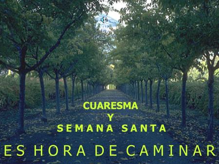 E S H O R A D E C A M I N A R CUARESMA Y S E M A N A S A N T A.