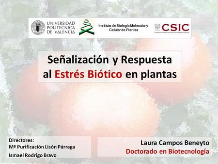 Señalización y Respuesta al Estrés Biótico en plantas Laura Campos Beneyto Doctorado en Biotecnología Directores: Mª Purificación Lisón Párraga Ismael.