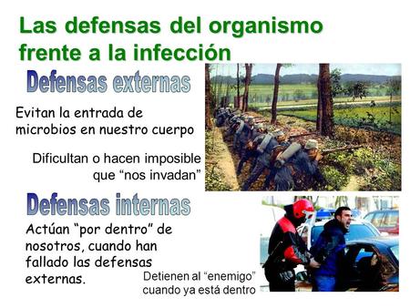 Las defensas del organismo frente a la infección