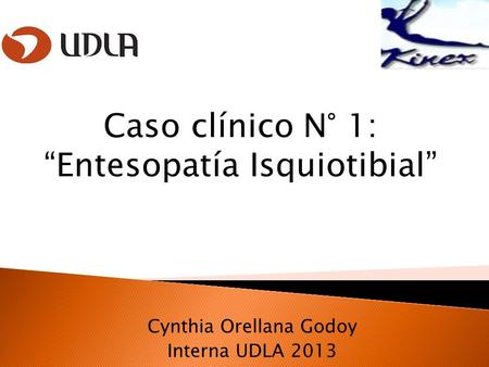 Cynthia Orellana Godoy Interna UDLA 2013