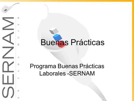 Buenas Prácticas Programa Buenas Prácticas Laborales -SERNAM.