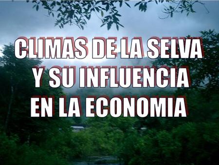 CLIMAS DE LA SELVA Y SU INFLUENCIA EN LA ECONOMIA.
