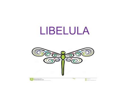 LIBELULA.