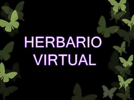 HERBARIO VIRTUAL.