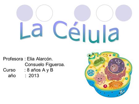 Profesora : Elia Alarcón. Consuelo Figueroa. Curso : 8 años A y B año : 2013.