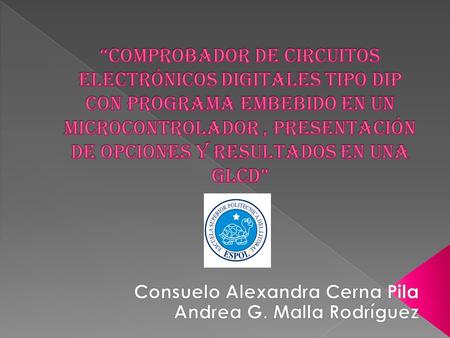 Consuelo Alexandra Cerna Pila Andrea G. Malla Rodríguez