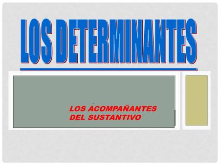 LOS DETERMINANTES . LOS ACOMPAÑANTES DEL SUSTANTIVO.