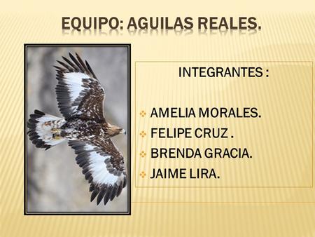 INTEGRANTES :  AMELIA MORALES.  FELIPE CRUZ.  BRENDA GRACIA.  JAIME LIRA.