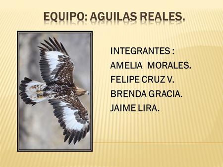 INTEGRANTES : AMELIA MORALES. FELIPE CRUZ V. BRENDA GRACIA. JAIME LIRA.
