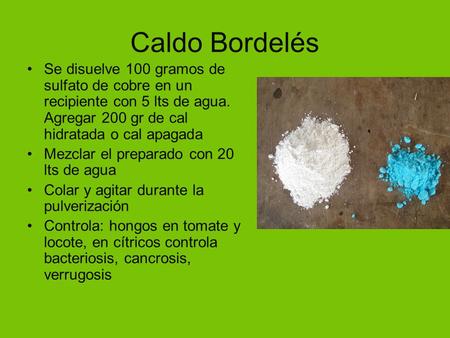 Caldo Bordelés Se disuelve 100 gramos de sulfato de cobre en un recipiente con 5 lts de agua. Agregar 200 gr de cal hidratada o cal apagada Mezclar el.
