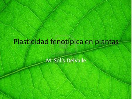 Plasticidad fenotípica en plantas