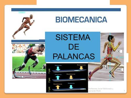 SISTEMA DE PALANCAS Profesores Javier Maldonado y Leonardo Monti.