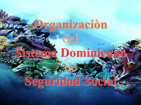 Organizaciòndel Sistema Dominicano de Seguridad Social.