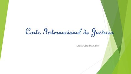 Corte Internacional de Justicia Laura Catalina Cano.