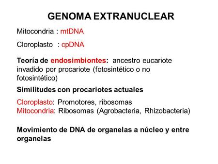 GENOMA EXTRANUCLEAR Mitocondria : mtDNA Cloroplasto : cpDNA
