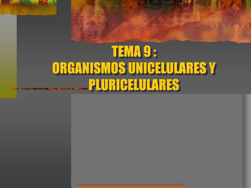 TEMA 9 : ORGANISMOS UNICELULARES Y PLURICELULARES - ppt descargar