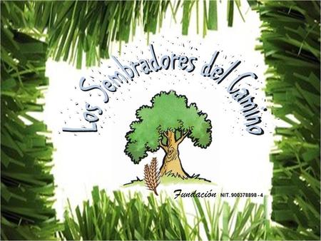 Fundación NIT. 900378898 - 4. Los Niños y las Familias de esta localidad Necesitan de tu SOLIDARIDAD NIT. 900378898 - 4.