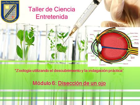 Taller de Ciencia Entretenida