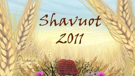 Shavuot 2011.