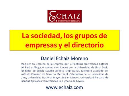 La sociedad, los grupos de empresas y el directorio