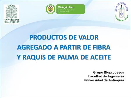 PRODUCTOS DE VALOR AGREGADO A PARTIR DE FIBRA Y RAQUIS DE PALMA DE ACEITE Grupo Bioprocesos Facultad de Ingeniería Universidad de Antioquia.