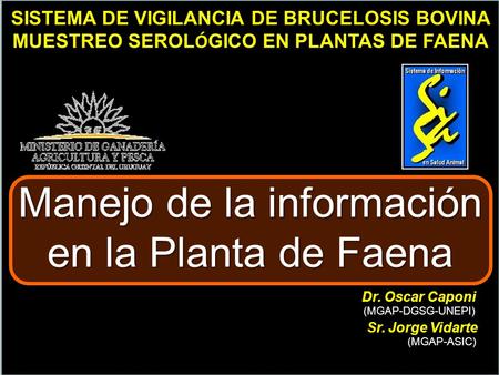 SISTEMA DE VIGILANCIA DE BRUCELOSIS BOVINA MUESTREO SEROL Ó GICO EN PLANTAS DE FAENA Manejo de la información en la Planta de Faena Dr. Oscar Caponi Sr.