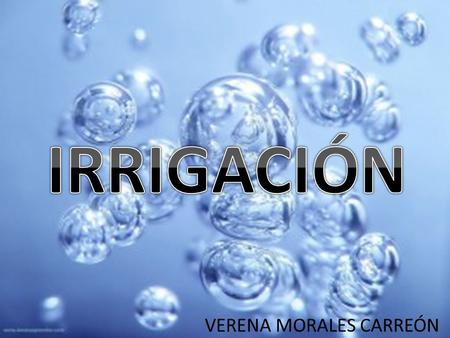 IRRIGACIÓN VERENA MORALES CARREÓN.