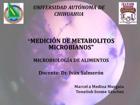 UNIVERSIDAD AUTÓNOMA DE CHIHUAHUA