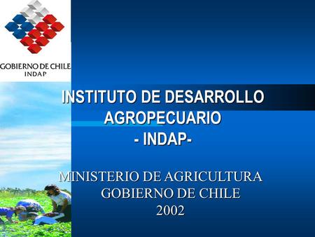 INSTITUTO DE DESARROLLO AGROPECUARIO - INDAP- MINISTERIO DE AGRICULTURA GOBIERNO DE CHILE 2002.