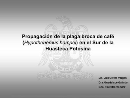 Propagación de la plaga broca de café (Hypothenemus hampei) en el Sur de la Huasteca Potosina Lic. Luis Olvera Vargas Dra. Guadalupe Galindo Geo. Pavel.