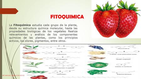 FITOQUIMICA La Fitoquímica estudia cada grupo de la planta, desde su estructura química molecular, hasta las propiedades biológicas de los vegetales Realiza.