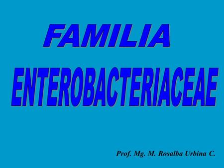 FAMILIA ENTEROBACTERIACEAE Prof. Mg. M. Rosalba Urbina C.