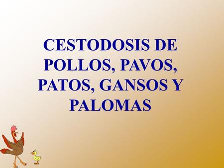 CESTODOSIS DE POLLOS, PAVOS, PATOS, GANSOS Y PALOMAS