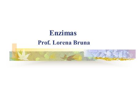 Enzimas Prof. Lorena Bruna