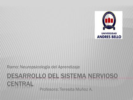 Ramo: Neuropsicología del Aprendizaje Profesora: Teresita Muñoz A.