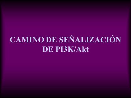 CAMINO DE SEÑALIZACIÓN DE PI3K/Akt