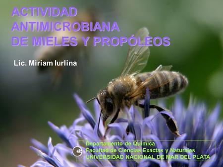 ACTIVIDAD ANTIMICROBIANA DE MIELES Y PROPÓLEOS