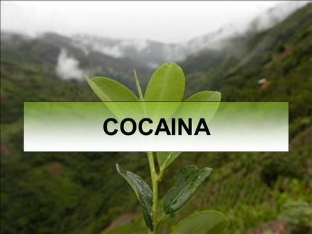 COCAINA.