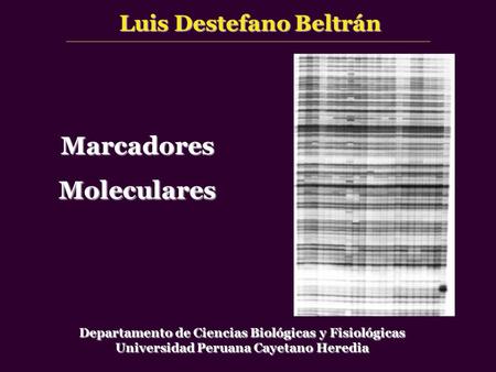 Marcadores Moleculares Luis Destefano Beltrán Departamento de Ciencias Biológicas y Fisiológicas Universidad Peruana Cayetano Heredia.