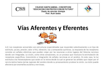 Vías Aferentes y Eferentes