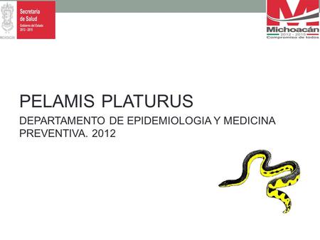 PELAMIS PLATURUS DEPARTAMENTO DE EPIDEMIOLOGIA Y MEDICINA PREVENTIVA. 2012.