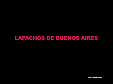 AUTOMATICO reediciones txike47 LAPACHOS DE BUENOS AIRES.