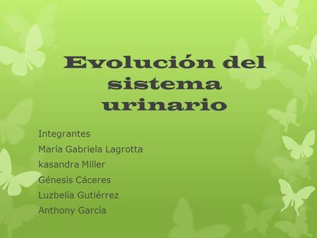 Evolución del sistema urinario