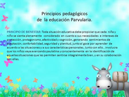 Principios pedagógicos de la educación Parvularia.