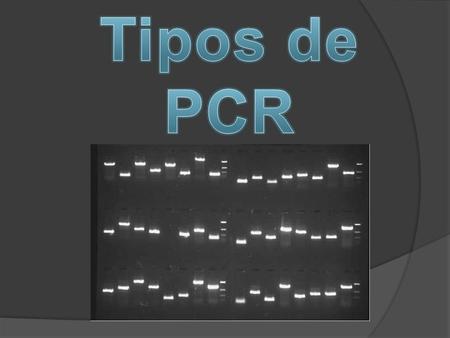 EN DIFERENTES AREAS COMO POR EJEMPLO: INVESTIGACIÓN: la clonación de secuencias de ADN en vectores, como pueden ser los plásmidos.